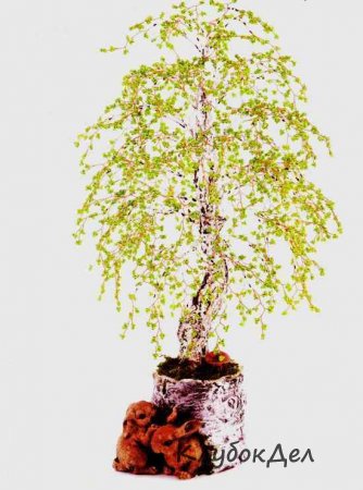 Бисерное дерево «Весенняя березка». Бисероплетение схемы